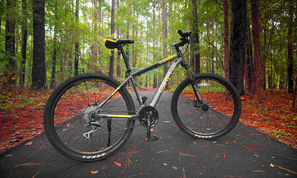 Expert_2022_Mountain_Bike